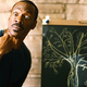 Illustration for article titled A review of a midnight show of emA Thousand Words/em, that shitty Eddie Murphy movie about a magic tree